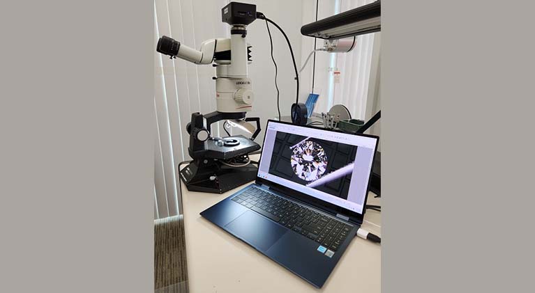 Leica MZ9.5 Research Stereomicroscope, mounted with the View4K High-Definition Camera